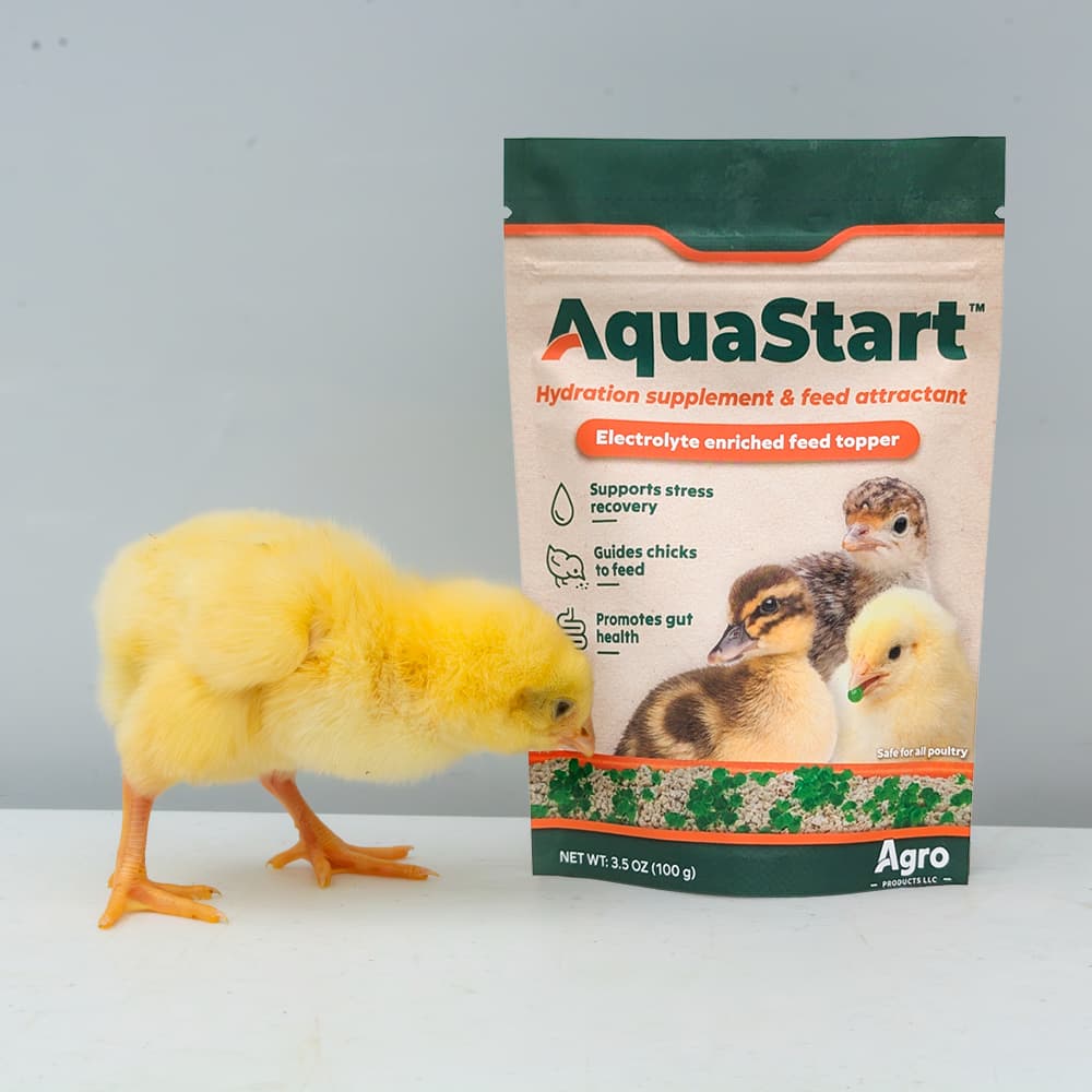 Animal Hydration